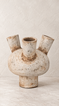 The Aurelia Vessel