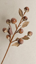 The Hazel Branch